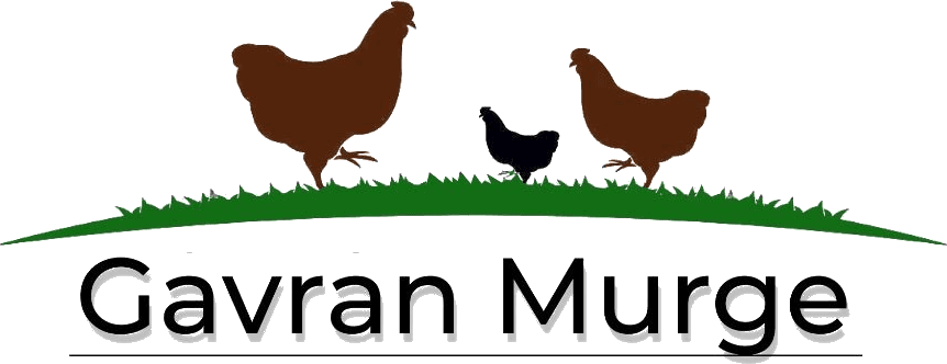 Gavran Murge