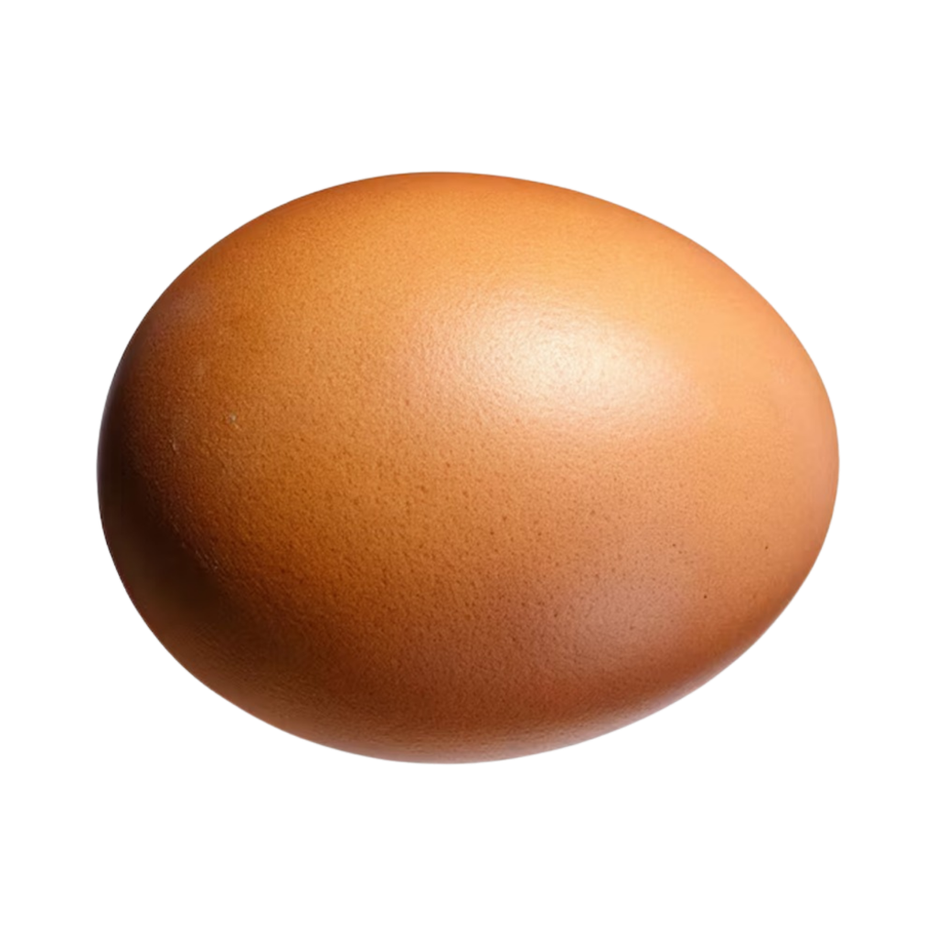 Single brown egg cutout