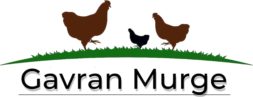 Gavran Murge Logo